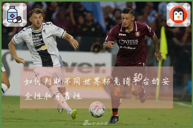 如何判断不同世界杯竞猜平台的安全性和可靠性