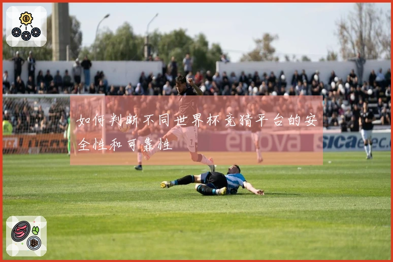 如何判断不同世界杯竞猜平台的安全性和可靠性